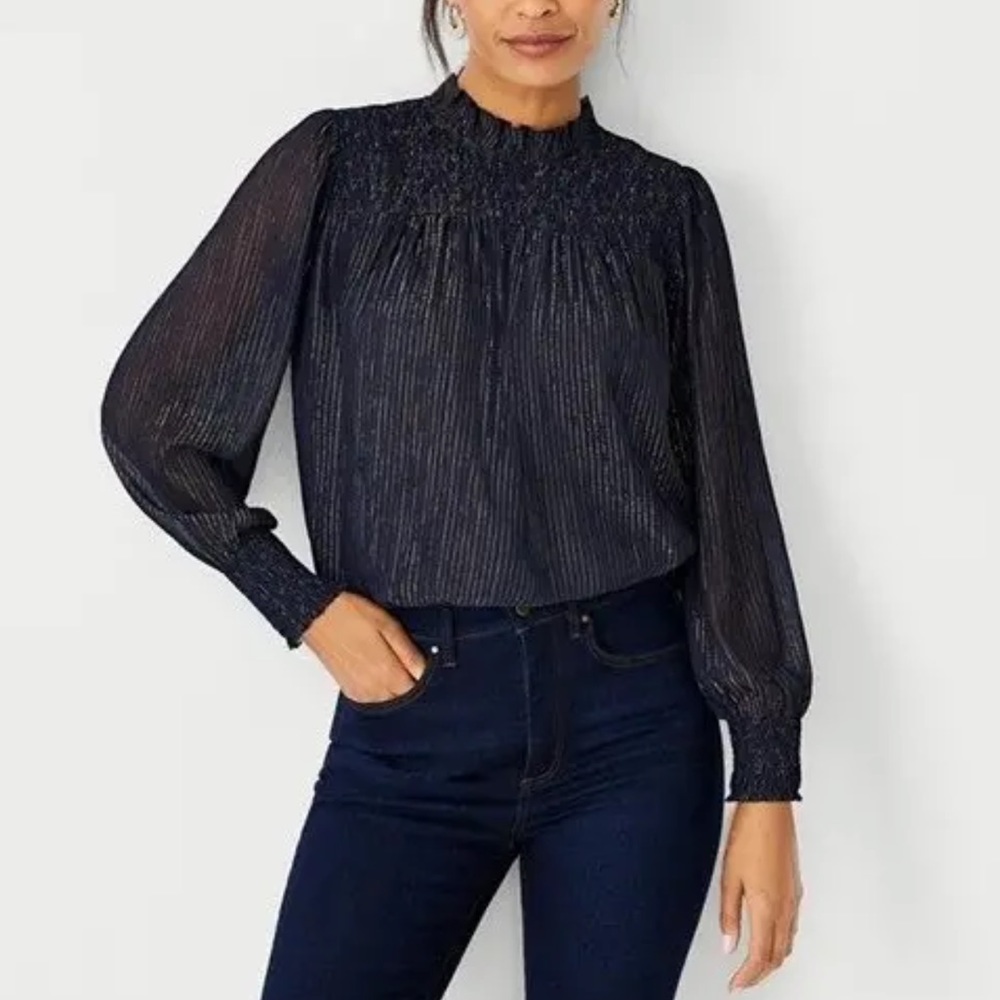 Ann Taylor Shimmer Blouse